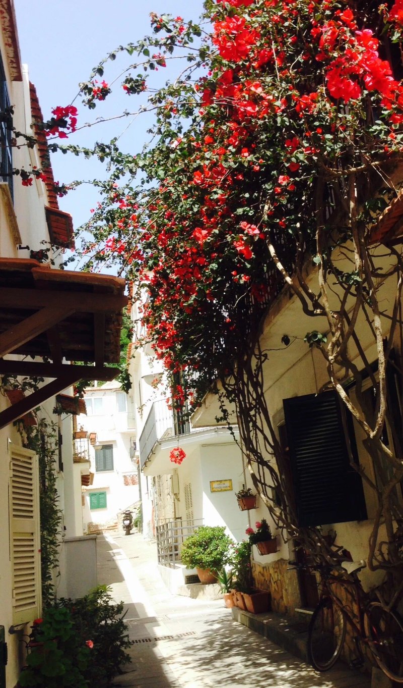 B&B La Bouganville