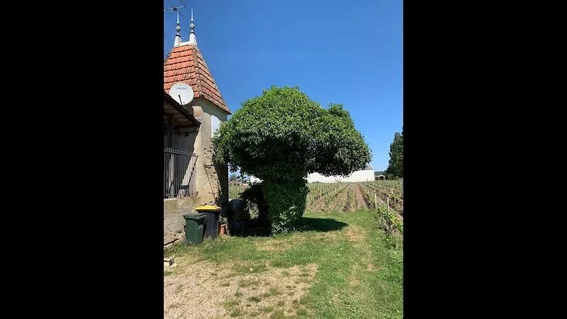Château Roseyrol near Saint-Emilion
