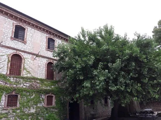 Fattoria le Terrazze