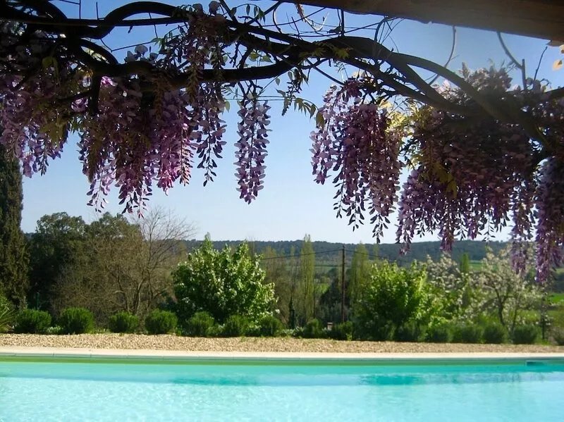 Charming Village House, Uzes 5 Km, Pool, Walled Gardens, Views, 2 bedrooms