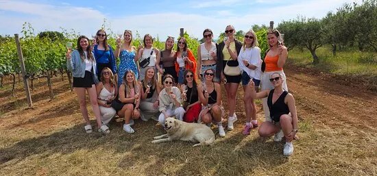 Vina Vinketa Winery