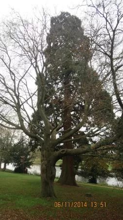 Caversham Court Gardens