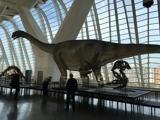 Museum of Natural Science (Museo de Ciencias Naturales)
