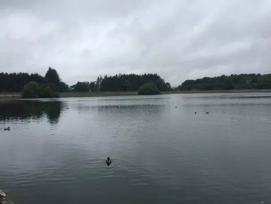 Clatto Country Park
