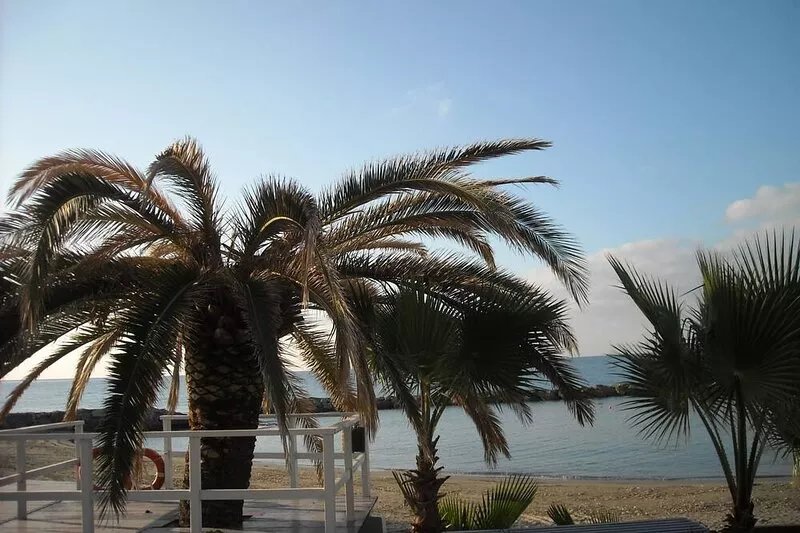CASA ANTONELLA studio in the countryside in Terzorio with sea view terrace.