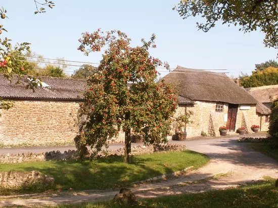 Perry's Cider
