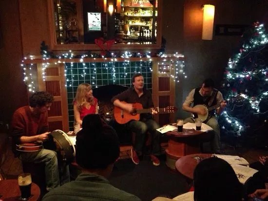The Irish Folk Experience