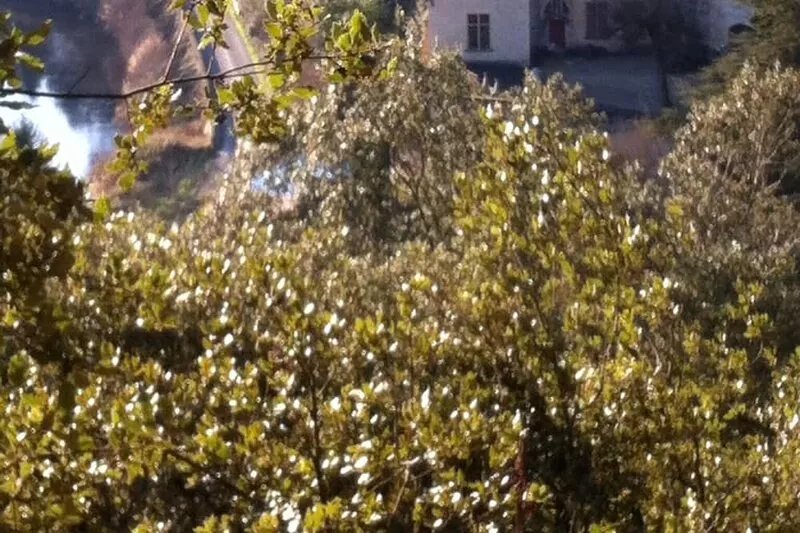 Heart of Périgord noir 8-person house, breathtaking view, private pool