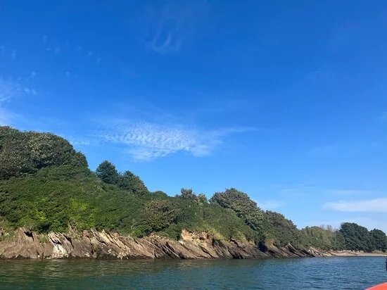 Ilfracombe Sea Safari