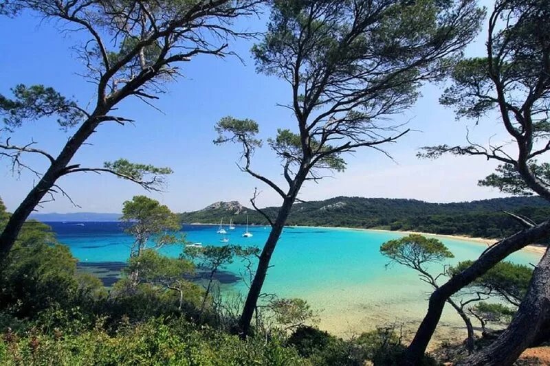 Near Hyères les Palmiers, beautiful air-conditioned Mas - swimming pool