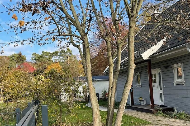 Vacation bungalow "Arne Junior" right next to the forest and 5 minutes to the