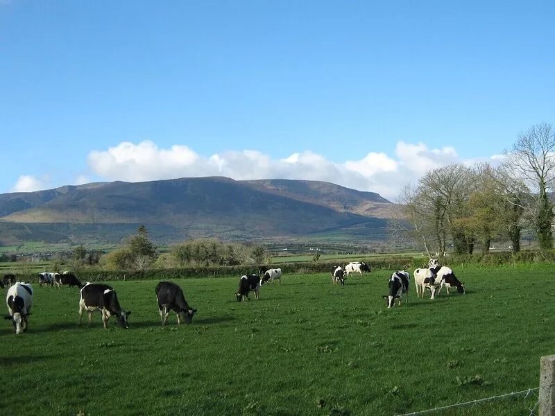 Nells Farm House with mountains views and hot tub