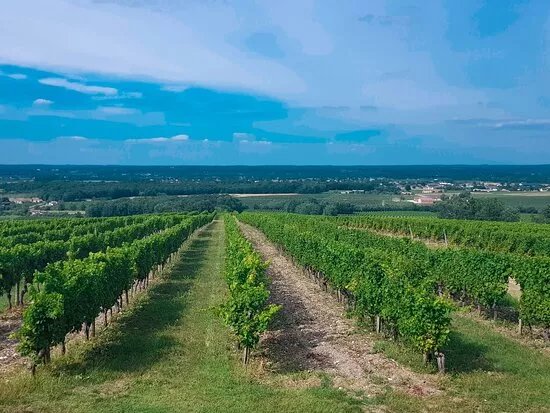 Domaine Du Haut Montlong