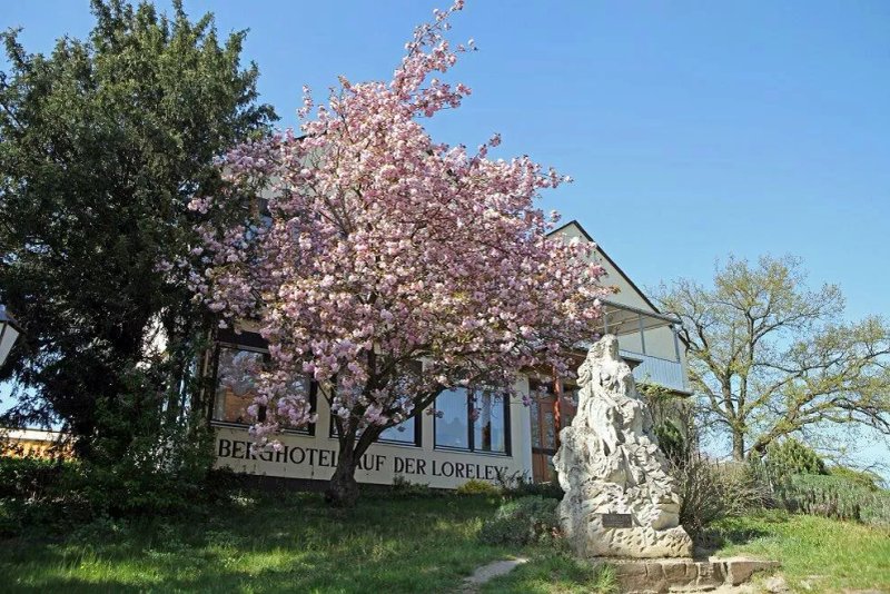 Berghotel