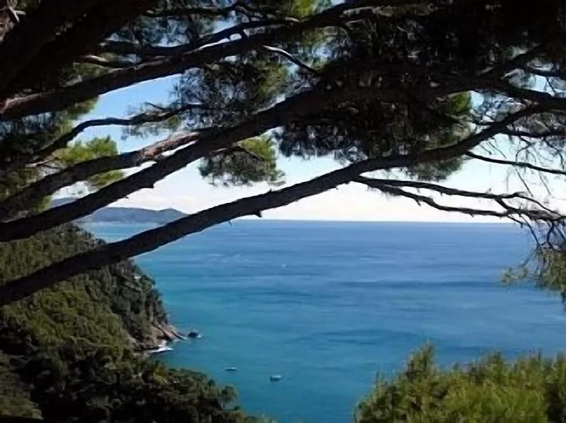 Villa Built In 1888 With Amazing Sea Views And Garden, Frescoed Ceilings.
