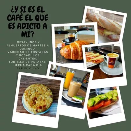 Bar El Olivo