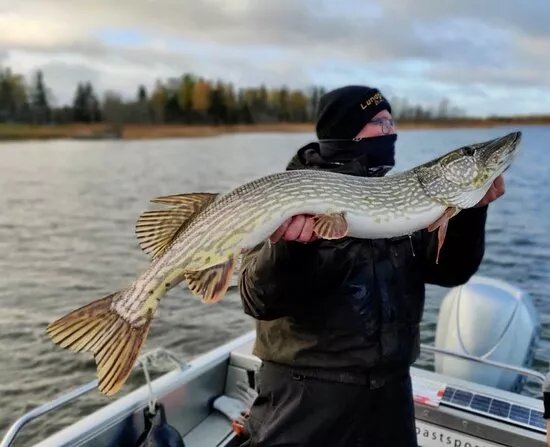 Westcoast Sportfishing