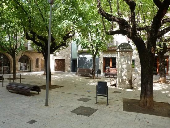 Museu Arqueologic Comarcal