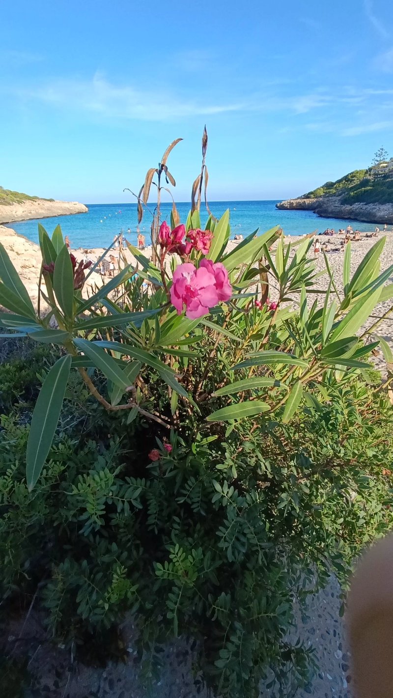 Platja de Cala Mendia