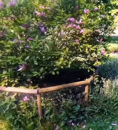 Rosengarten