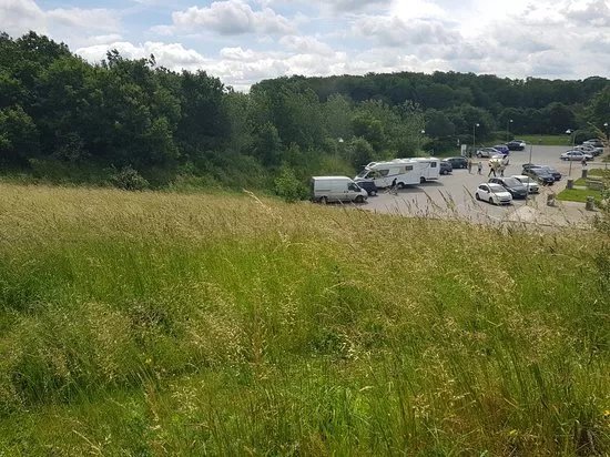 Gravhoejene ved Skaerup
