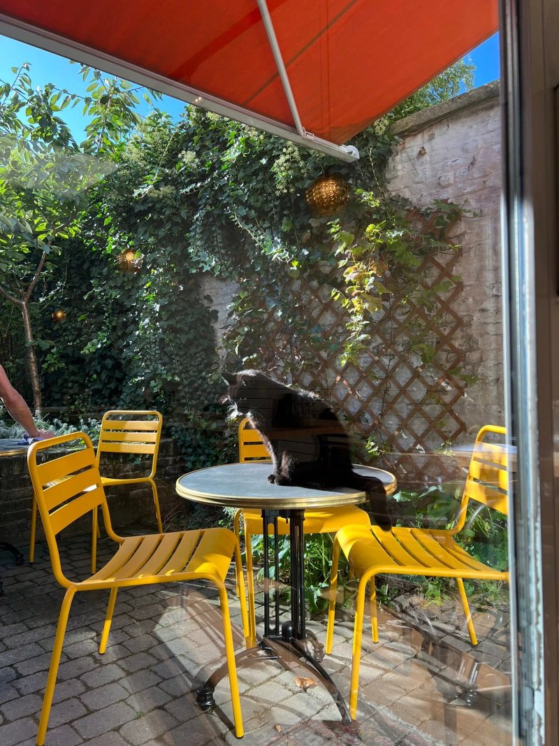 B&B Koeketiene