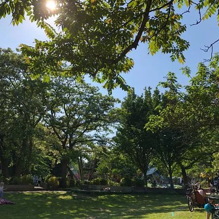 Spa Fields Park