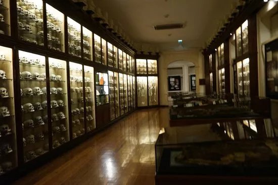 El Museo Canario