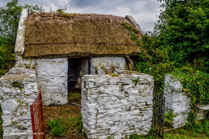 Wilson Ancestral Home
