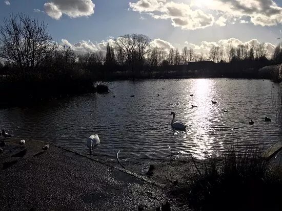 Sutcliffe Park