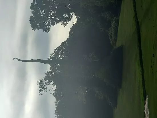 Grovelands Park