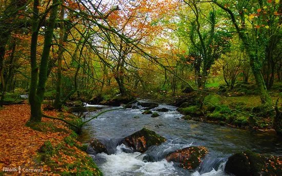 Golitha Falls and Siblyback lake circular walk