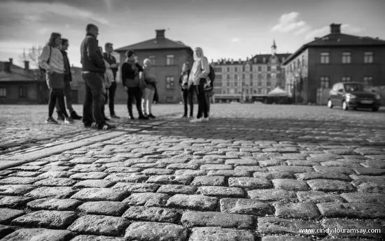 Nordic Noir Tours