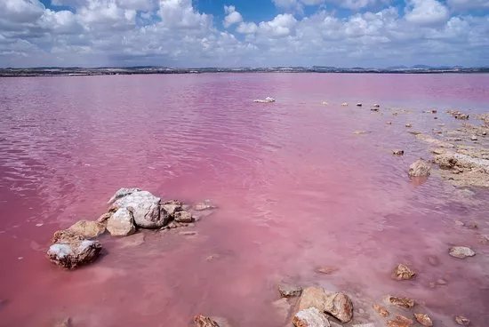 Laguna Salada de Torrevieja