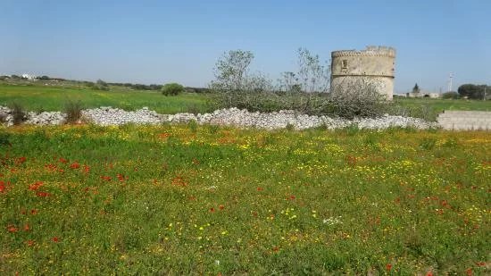 Torre Colombaia