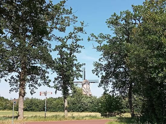 Sumar Molen de Hoop