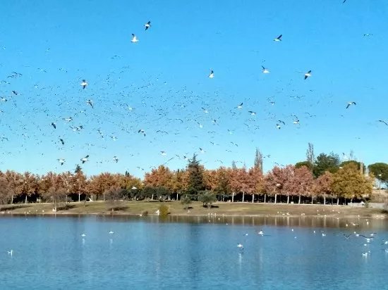Parque de Polvoranca