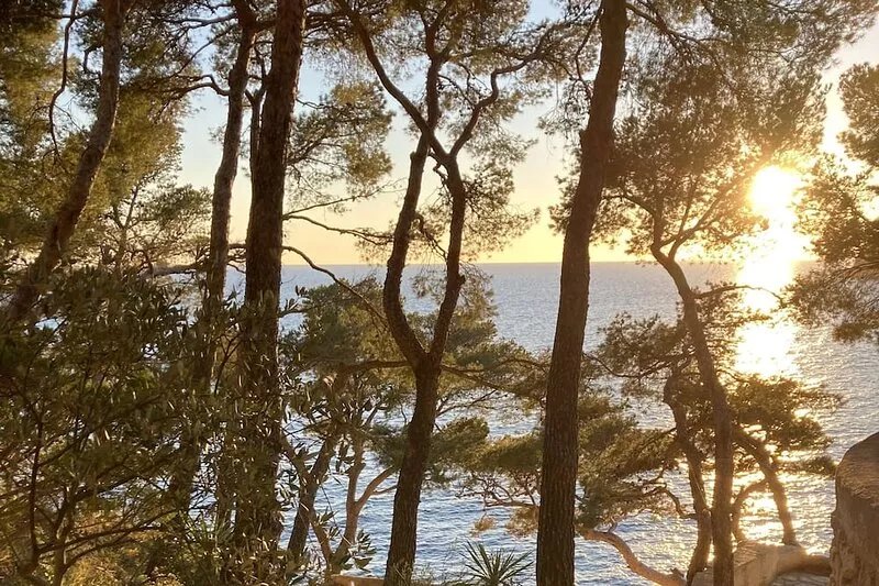 The shed by the sea