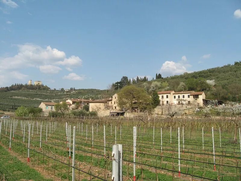 Verona The House of Cuoricino