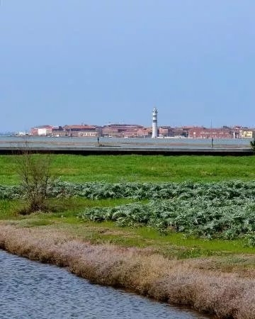 OG Venice - Venice Island Farms & Wine Tour