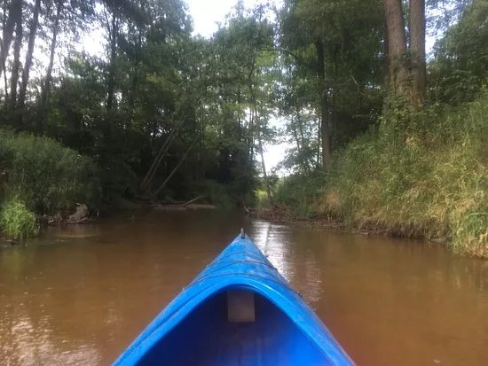 Bagienne Bractwo Obserwatorow Terenowych
