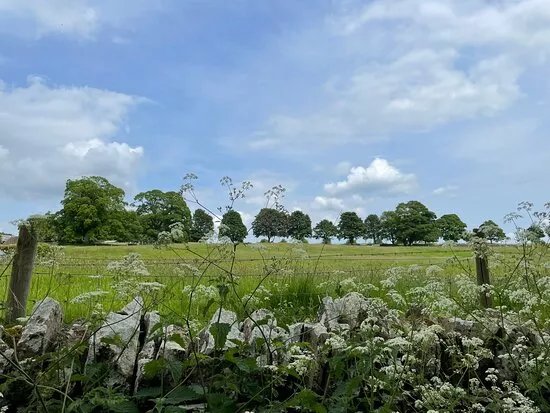 Wild Food Uk