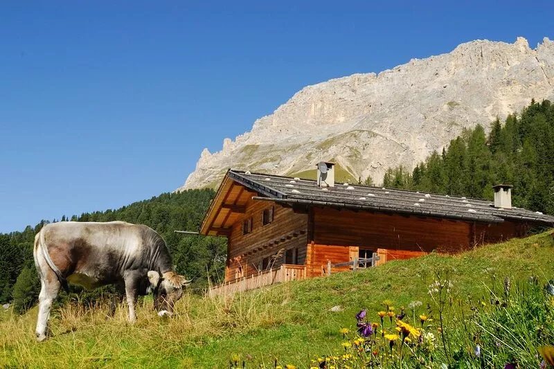 Chalet, alpine hut, ski hut in the middle of the ski area, vacation apartment