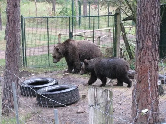 Wildpark Johannismuhle