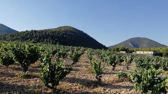 Bodegas Lavia