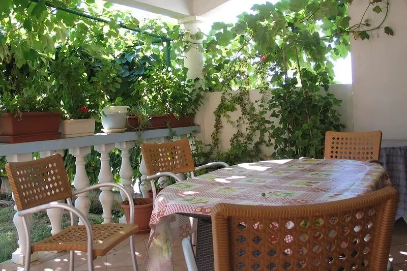 Two bedroom apartment with terrace Valbandon, Fažana (A-7355-a)