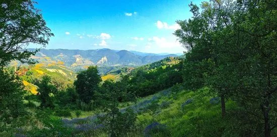 Il Giardino di Pimpinella