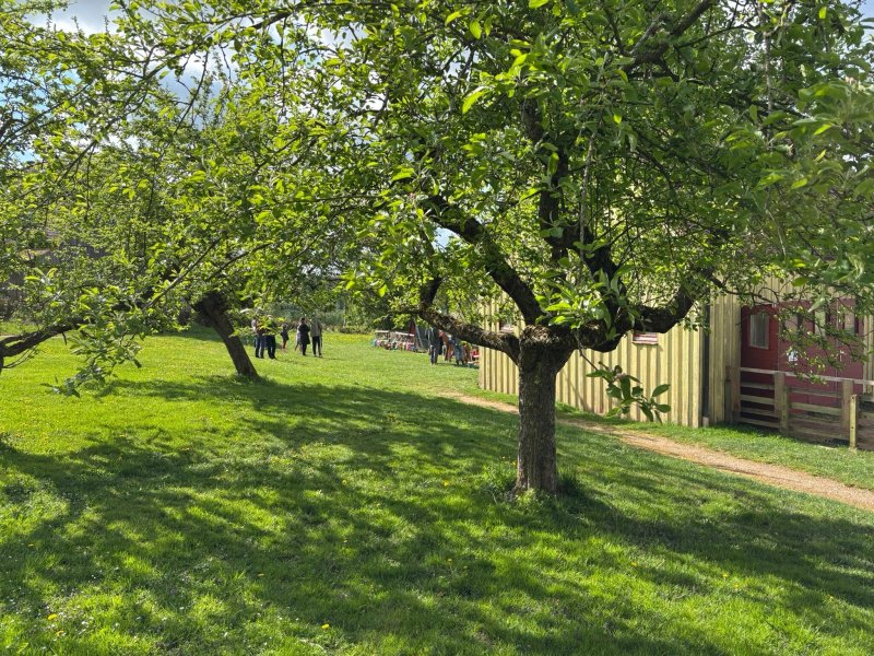 Kinder-Ferienhof Burmann