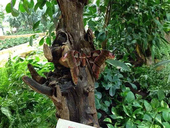 Naturama Science Center