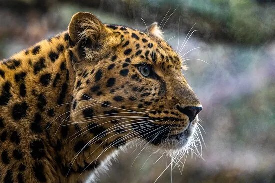 Tierpark Nordhorn